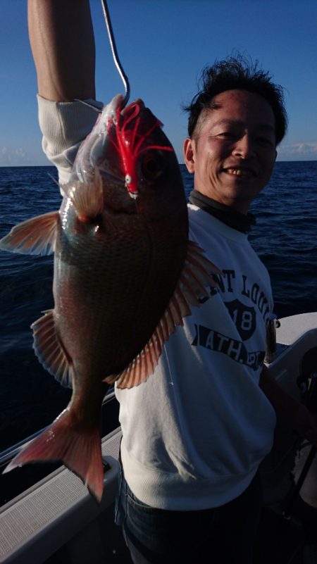 ARCADIAⅡ (アルカディアⅡ) 釣果