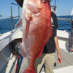 ARCADIAⅡ (アルカディアⅡ) 釣果