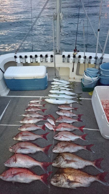 ARCADIAⅡ (アルカディアⅡ) 釣果