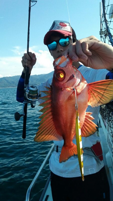 鷹王丸 釣果