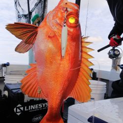 第二龍勢丸 釣果