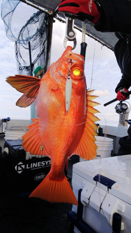 第二龍勢丸 釣果