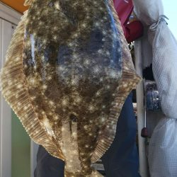 第二龍勢丸 釣果