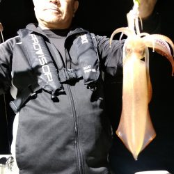 LUSTER『ラスター』 釣果