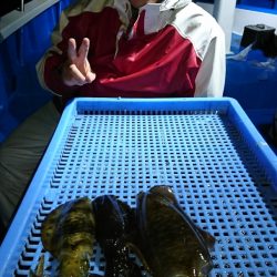 第三共栄丸 釣果