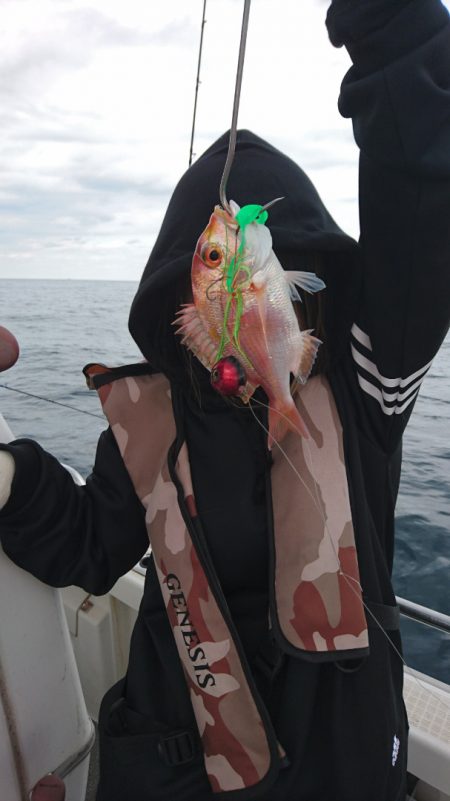 ARCADIAⅡ (アルカディアⅡ) 釣果