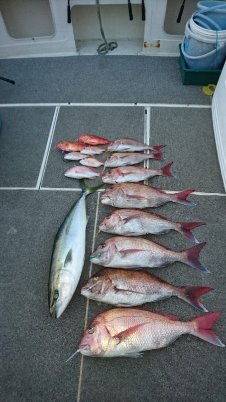 ARCADIAⅡ (アルカディアⅡ) 釣果