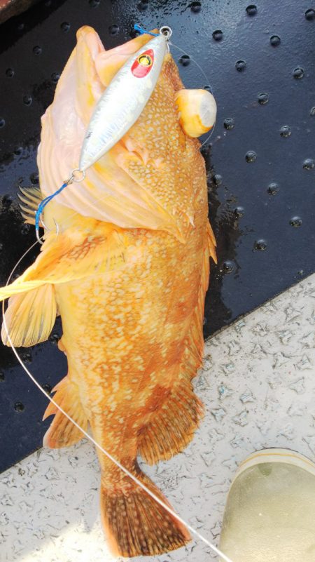 第二龍勢丸 釣果