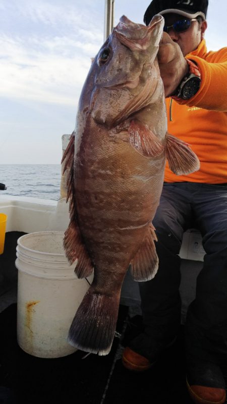 第二龍勢丸 釣果