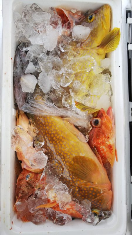 第二龍勢丸 釣果