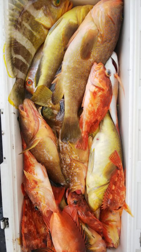 第二龍勢丸 釣果