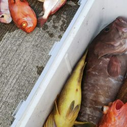 第二龍勢丸 釣果