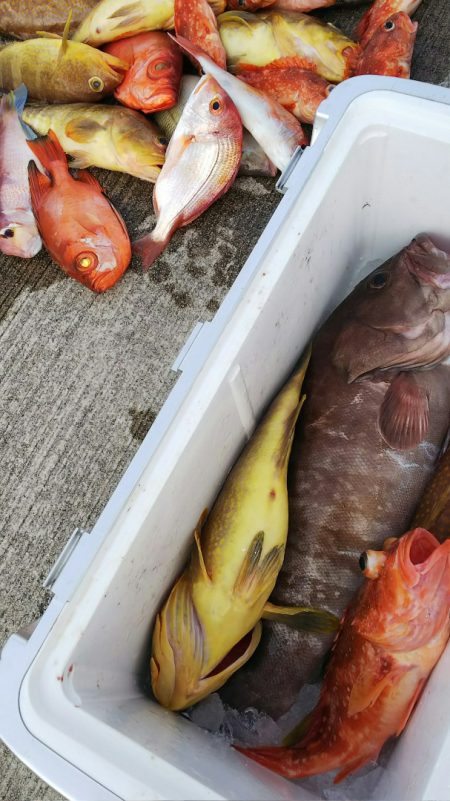 第二龍勢丸 釣果