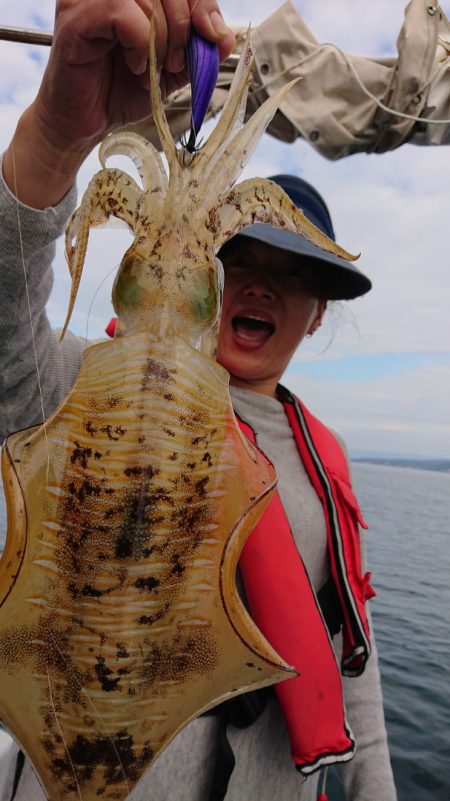 シースナイパー海龍 釣果