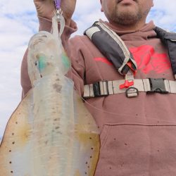 シースナイパー海龍 釣果