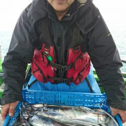 小島丸 釣果