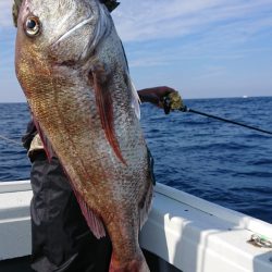 だて丸 釣果