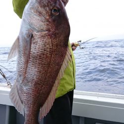 だて丸 釣果