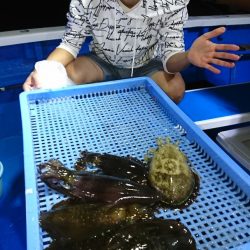 第三共栄丸 釣果