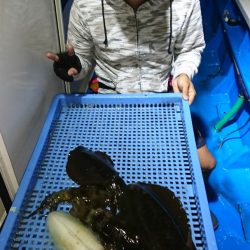 第三共栄丸 釣果