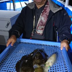 第三共栄丸 釣果