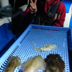 第三共栄丸 釣果