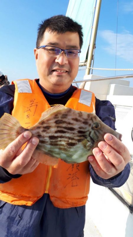 島きち丸 釣果