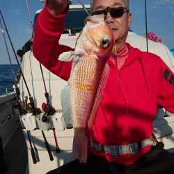 ARCADIAⅡ (アルカディアⅡ) 釣果