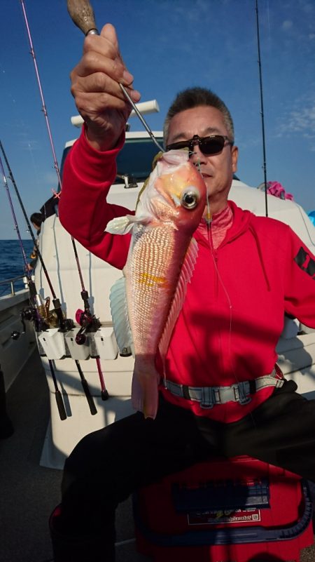 ARCADIAⅡ (アルカディアⅡ) 釣果