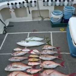 ARCADIAⅡ (アルカディアⅡ) 釣果