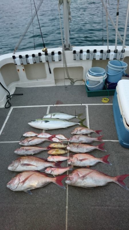 ARCADIAⅡ (アルカディアⅡ) 釣果