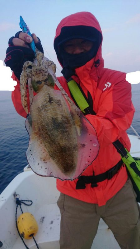 きずなまりん 釣果