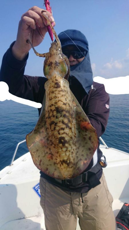 きずなまりん 釣果