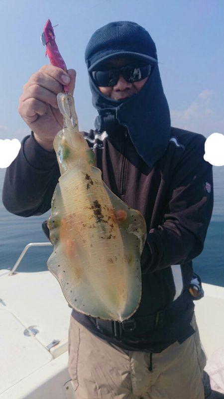 きずなまりん 釣果