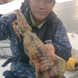 きずなまりん 釣果