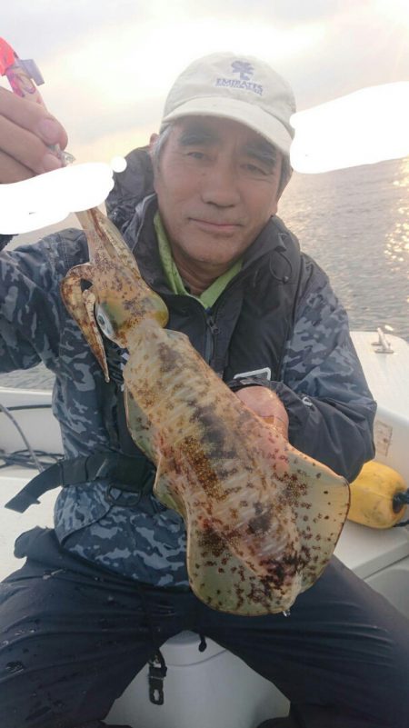 きずなまりん 釣果