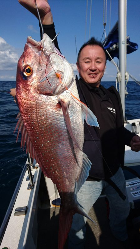 ARCADIAⅡ (アルカディアⅡ) 釣果