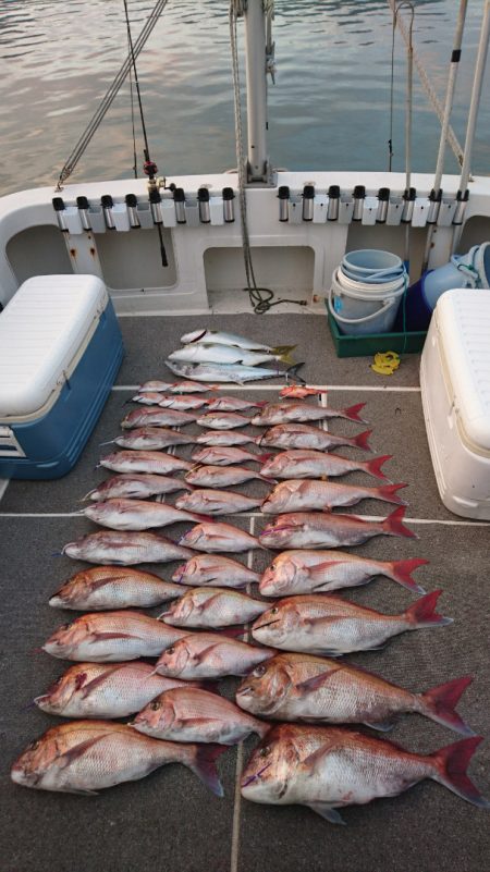 ARCADIAⅡ (アルカディアⅡ) 釣果