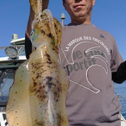 シースナイパー海龍 釣果