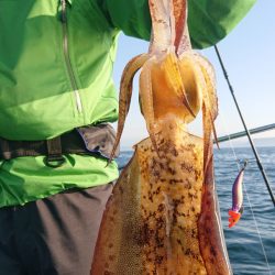 シースナイパー海龍 釣果