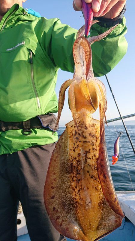 シースナイパー海龍 釣果
