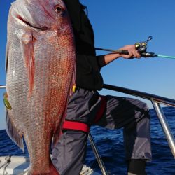 だて丸 釣果