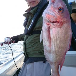 だて丸 釣果