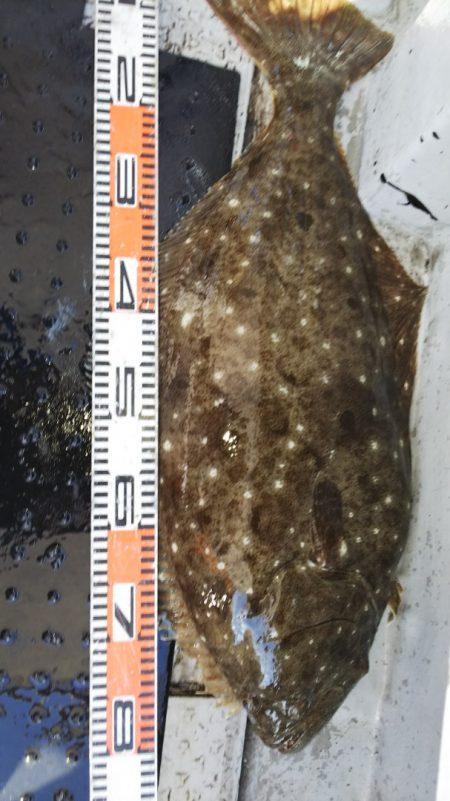 第二龍勢丸 釣果