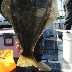 第二龍勢丸 釣果