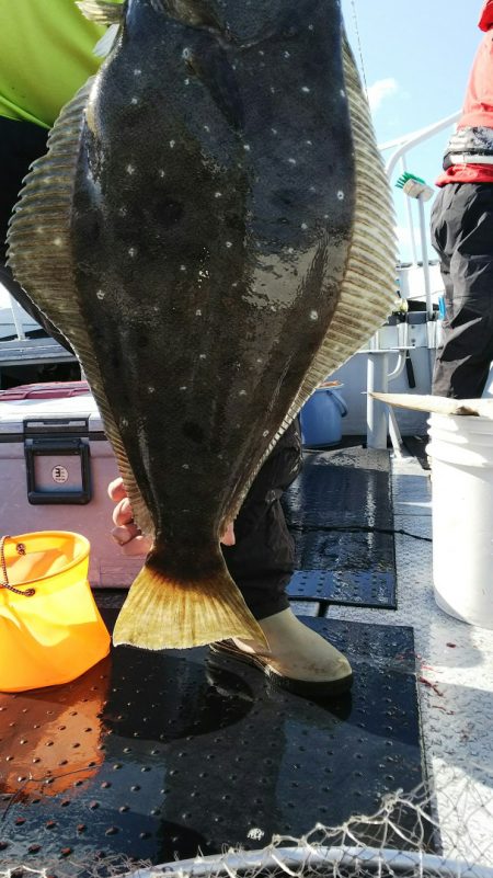 第二龍勢丸 釣果