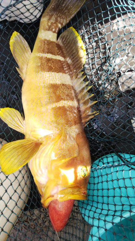 第二龍勢丸 釣果