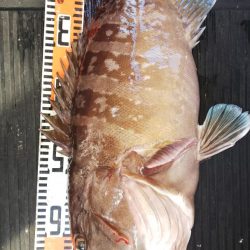 第二龍勢丸 釣果