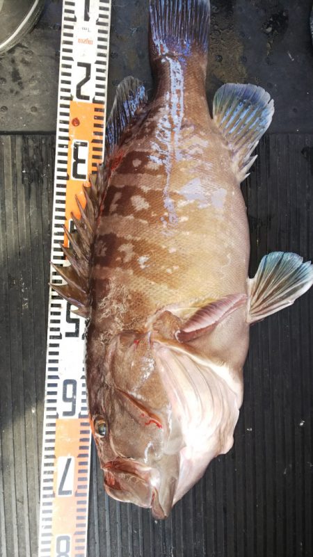 第二龍勢丸 釣果