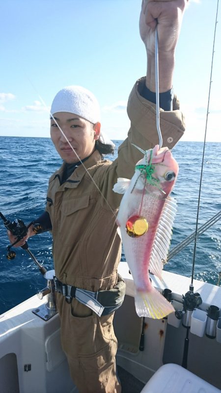 ARCADIAⅡ (アルカディアⅡ) 釣果